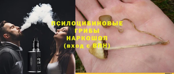 каннабис Абаза