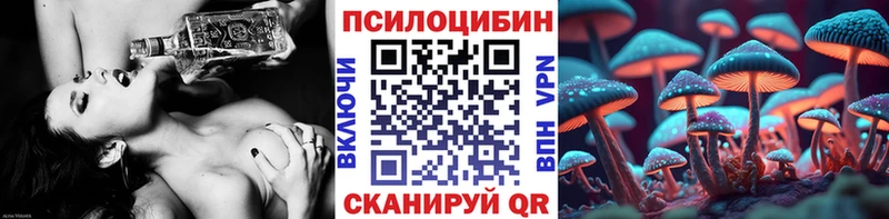 что такое наркотик Болхов Псилоцибиновые грибы Psilocybe